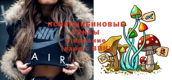 крисы Армянск
