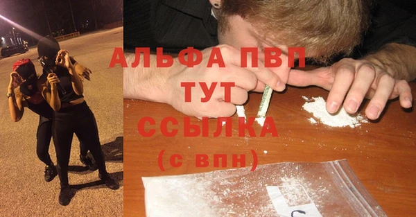 PSILOCYBIN Балабаново