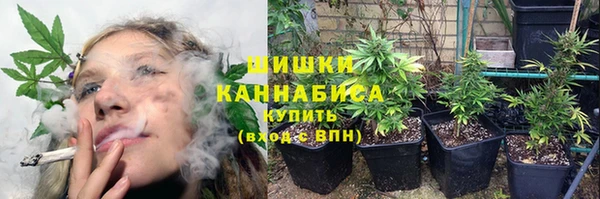 PSILOCYBIN Балабаново